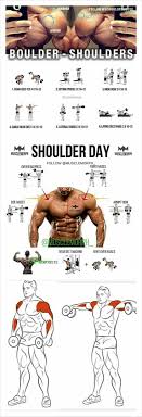 Pin By Tim Rice On 3 In 2020 Shoulder Workout Gym Workout Tips Weight Training Workouts
