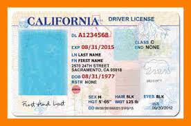 Image result for ca drivers license template