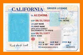 Image result for ca drivers license template