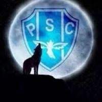 Plays for campeonato brasileiro série c. Paysandu Sport Club