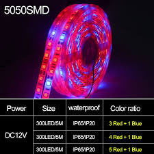 5050 Led Fito Lamba 5 Metre Serit Isik 60 Leds M Tam Spektrum Fitolampy Bitkiler Cicek Tohumlari Buyumek Icin Isik Serit Buyumeye Yol Acti Led Grow Lights Grow Lights Led Grow