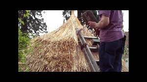 Create a thatched roof in c4d. Thatching A Round Straw Roof Iron Age Hut Thatch Style Youtube