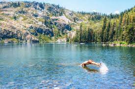 Expedia has something for everyone so whether you're planning to get active on a summer holiday put a spring in your step looking for things to do can be time consuming but we can take the hassle out of planning your holiday. 7 Outdoor Destinations To Explore In Mt Shasta Fresh Off The Grid