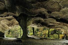 Mullerthal trail is located in mullerthal. Luxemburger Schweiz Fotos Entlang Des Mullerthal Trail