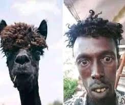 Black is the best color 🖤🖤🖤 who believes me?