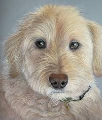 Chris Gorby's Instagram, Twitter & Facebook