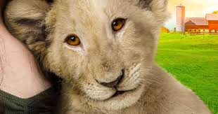 Little does she know the lion escaped from criminals intended to take the cub to an evil trophy hunter named ben percy. Lena And Snowball Dvd From Lionsgate Mama Likes This