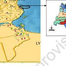 Pdf Suggestions For Conservations Of Farm Animal Genetic Resources In Turkey Denizli And Gerze Samples