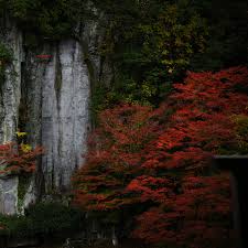 About Mitsuwa – Mitsuwa