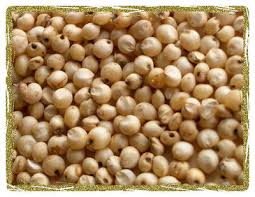Image result for Sorghum