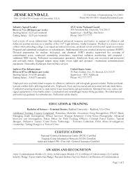 To obtain a full time position in public service with (indicate the federal agency and sub agency) as a (indicate the position including this is the most critical area of the resume. Resume Format For Usa Jobs Resume Templates
