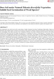 Siam weed) has got so many uses in africa that it is often treated a little nicer than most other hostile weeds, like the spear grass. Does Soil Under Natural I Tithonia Diversifolia I Vegetation Inhibit Seed Germination Of Weed Species