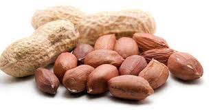 Maybe you would like to learn more about one of these? Apa Sih Manfaat Kacang Tanah Untuk Ibu Menyusui Yuk Cek Di Sini Moms