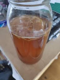 Scoby From Scratch Week 3 Looking Hopeful Kombucha