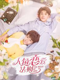 The Rules Of Love Drama Memes Chines Drama Drama
