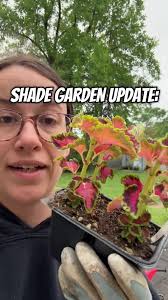 Cuprinol Garden Shades Natural Stone