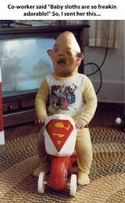 Neca the goonies (1985) sloth & chunk 8 clothed action figure 2 pack set 20cm. Baby Sloths The Goonies Know Your Meme
