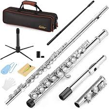 We did not find results for: Amazon Com Eastar C Flutes Closed Hole C Flute Musical Instrument With Cleaning Rod Carrying Case Stand Gloves And Tuning Rod 16 Key Student Flute Beginner Kids Flute Nickel Efl 1 Musical Instruments