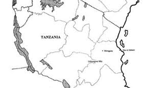 Image result for Platycoryne crocea