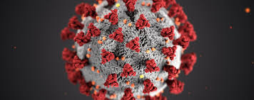 Hier geht es zu den aktuellen zahlen und news. Ubersichtsseite Zum Umgang Mit Dem Coronavirus Im Bistum Munster Bistum Munster