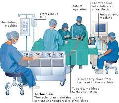 Perfusionist Research By: Alyssa Anderson - Health Occupations Showcase