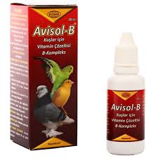 Biyoteknik Avisol B Kus Vitamini 30 Cc