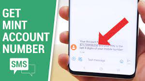 Savings at mint are pretty tantalizing compared to the best prepaid phone plans. How To Get Your Mint Mobile Account Number Pin Bestphoneplans