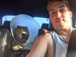 I'd like to introduce my Cayenne. His nickname is Brocken.