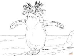 Ausmalbilder Pinguine Malvorlagen Kostenlos Zum Ausdrucken