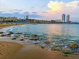 Learn how to create your own. Plage Barcelone Notre Top 10 Explore Par Expedia