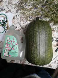 Check spelling or type a new query. I Did Not Realize Pumpkins And Zucchini Could Cross Pollinate I Present To You My Pumpchini Gardening