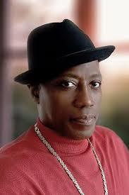 Merit health wesley welcomes new chief operating officer. Wesley Snipes Harpercollins