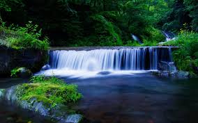 Anda dapat cari dari komputer anda atau tambah url gambar. Gambar Air Terjun Yang Cantik Wallpaper 1920x1200 Wallpaper Teahub Io