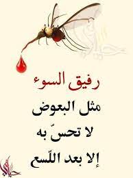 pin by amal on روائع الحكم iphone wallpaper quotes love wallpaper quotes wallpaper iphone quotes