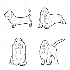 How to feed your basset hound. Basset Hound Animal Vector Illustration Hand Drawn Cartoon Art Royalty Free Cliparts Vectors And Stock Illustration Image 132292475