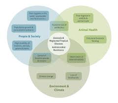 Over 20 years of experience has led to a deep understanding of the complex requirements of the insurance industry. One Health Bmz S New Commitment To Tackling A Multidimensional Crisis Healthy Developments