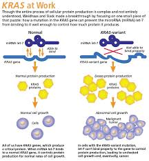 The Little Known Genetic Mutation Behind Many Aggressive Cancers Genetic Mutation Cancer Genetics