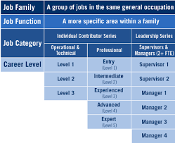 Job Family Function Category And Career Level Structure Student Jobs Part Time Jobs Best Part Time Jobs