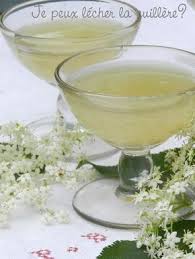 La Sureaunade Ou Petillant De Fleurs De Sureau Je Peux Lecher La Cuillere Fleur De Sureau Sureau Vin De Sureau