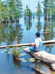 From streams and rivers to lakes… The Most Boring Roadway Has The Best Fishing Spots