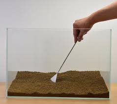 Aquarium Einrichten Schritt Fur Schritt Anleitung Nutzliche Tipps Und Ideen Aquarium Einrichten Aquarium Tipps Und Planted Aquarium