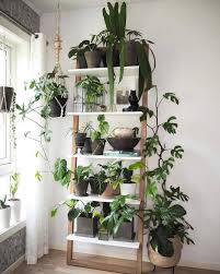 Pin Von Selina P Auf Plants Wohnung Pflanzen Schone Zuhause