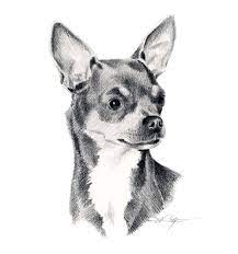 Arte Pintura Oleo Acuarela Escultura Dibujos De Perros Dibujo De Perro Dibujos Impresionantes