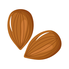 almonds seeds icons 4102959 Vector Art at Vecteezy