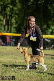 BEAGLE - Almighty Heisenberg Yasenpets ID: 14691