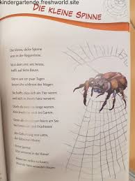 Die Kleine Spinne Gedicht Kindergarten Kindergarten Erzieherin Reim Kleine Spinne Kinder Gedichte Spinne