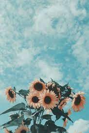 Enjoy The Palm Life Sunflower Wallpaper Aesthetic Iphone Wallpaper Painting Wallpaper