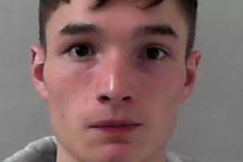 Uninsured mechanic, 20, killed pensioner while going 'too fast' test  driving powerful car