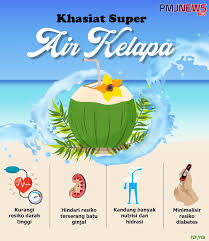 Minuman yang berasal dari buah kelapa ini sangat baik diminum sebagai pelepas dahaga. Ragam Khasiat Minum Air Kelapa Pmjnews