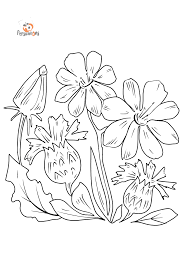 Over in the meadow illustration by anup singh swim, said the mother; Coloring Page Flowers In The Meadow Free Online